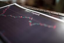 identifier visibility summary guide