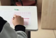 call analysis and evaluation