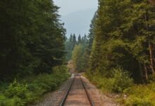 hypernova growth engine 912910396